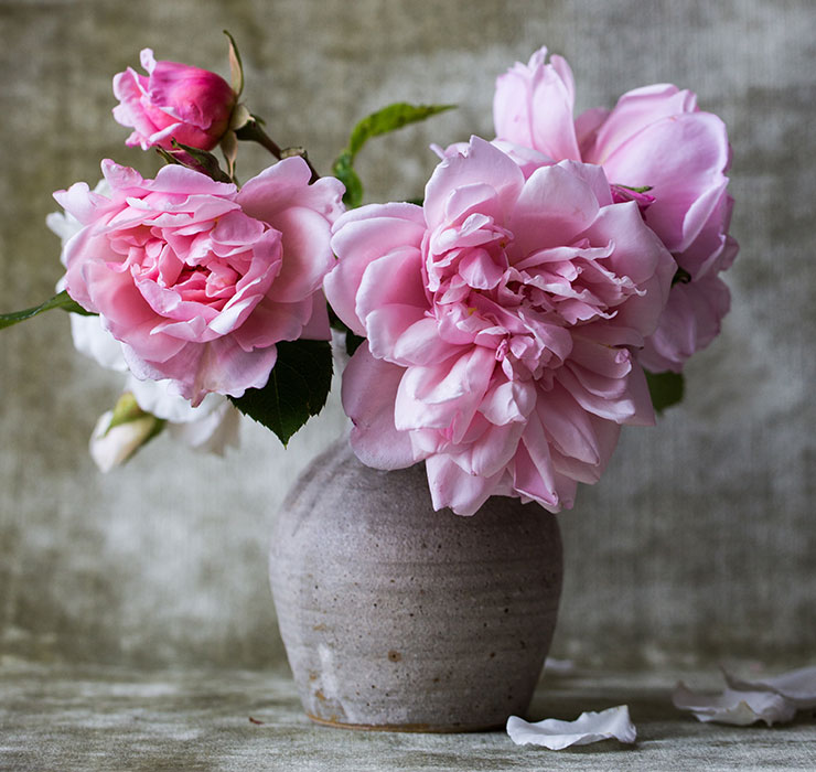 pink roses in a concrete vase